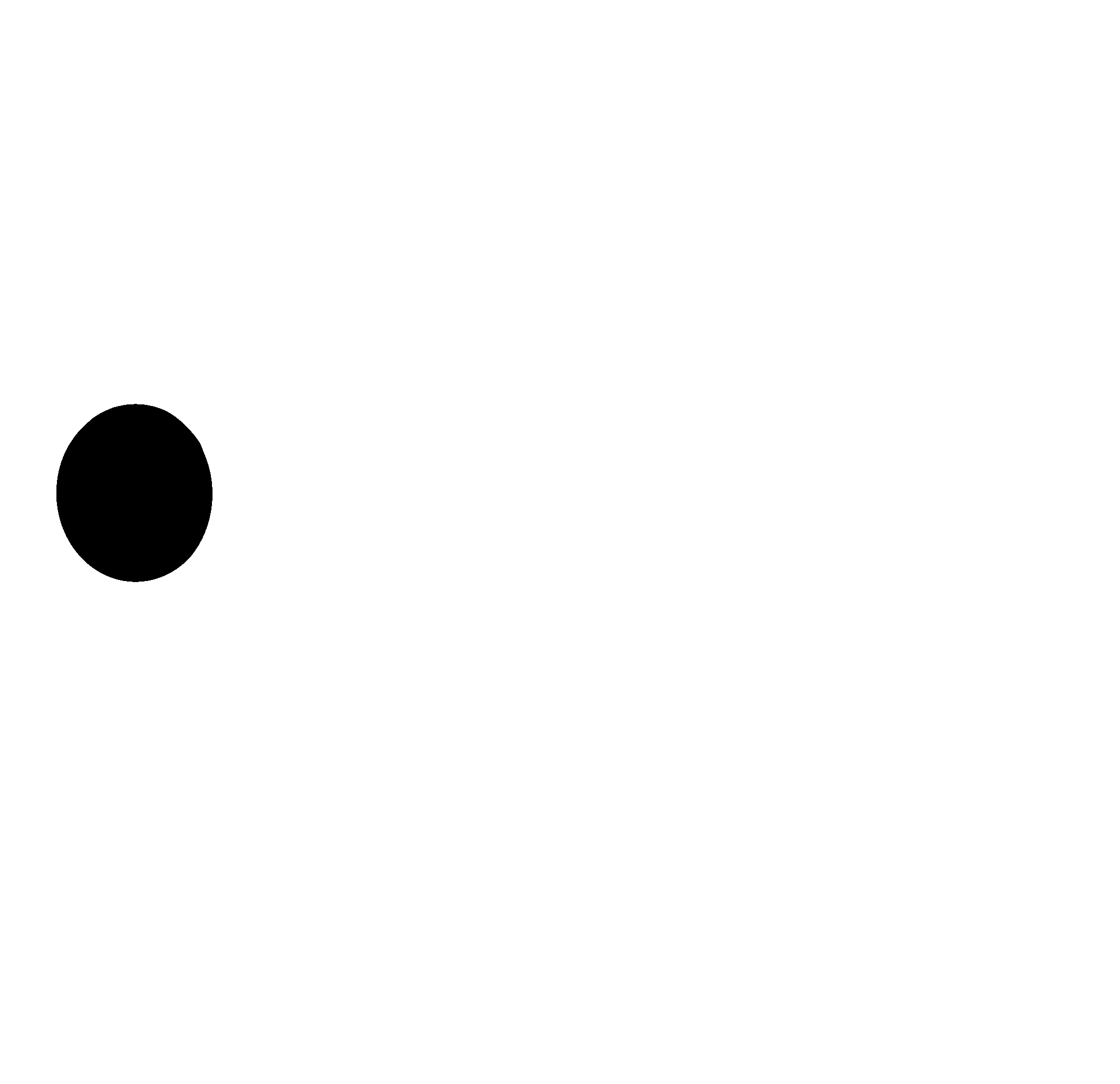 N0004.bmp