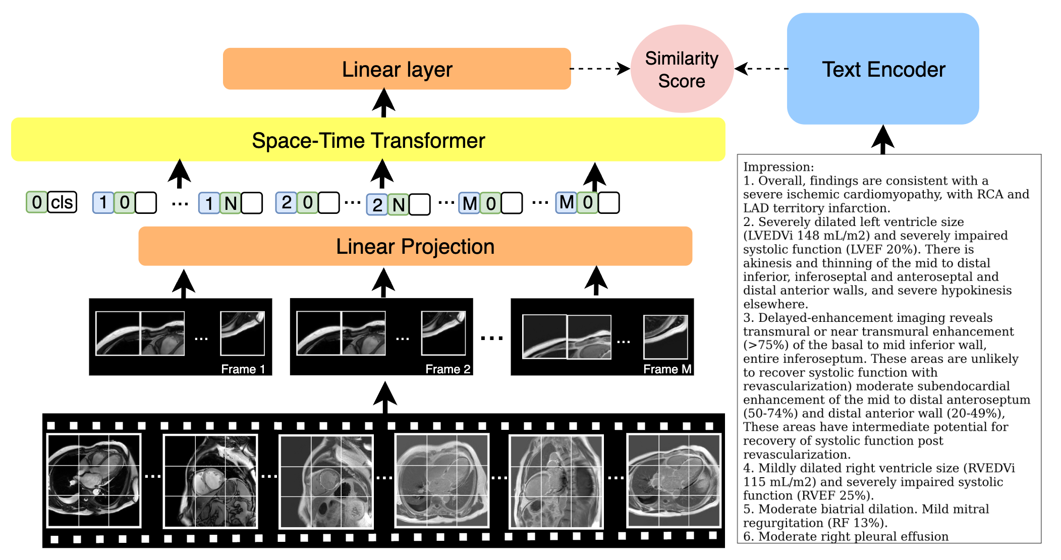 CMRCLIP Model Overview