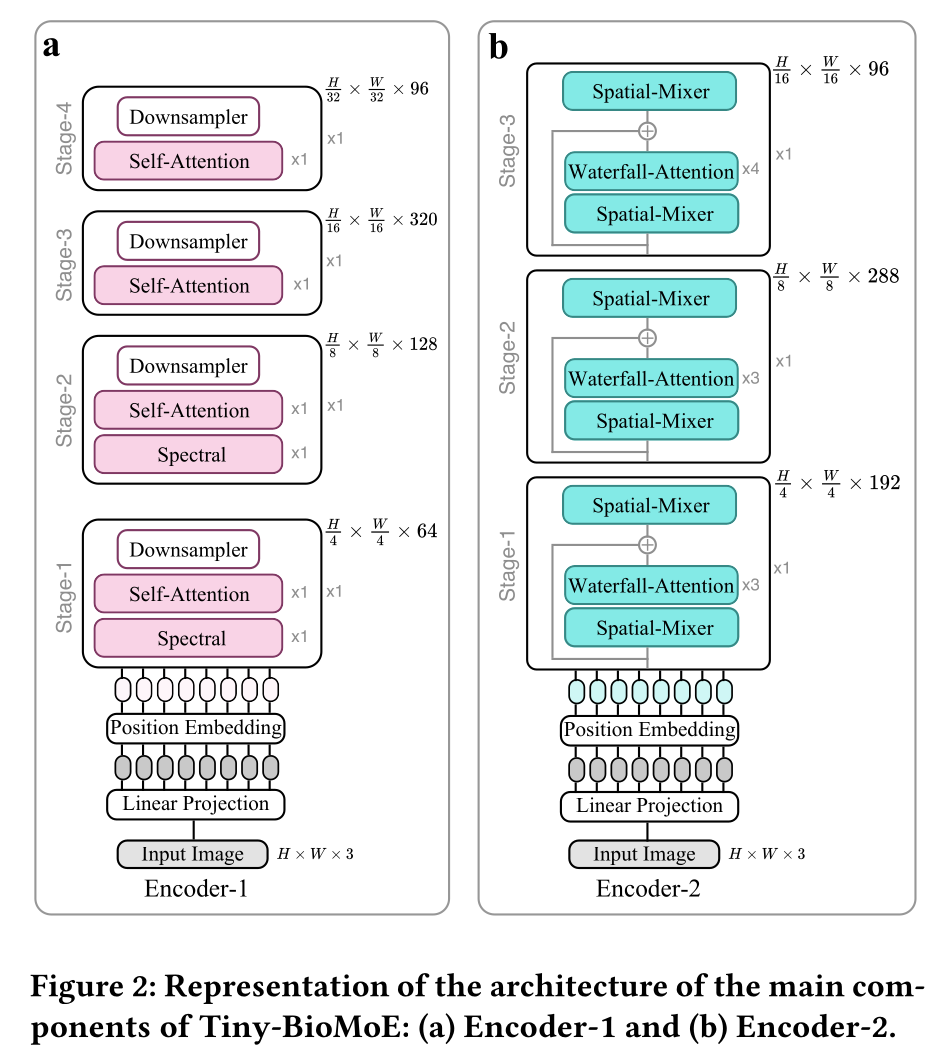 Encoder-1 and Encoder-2 details